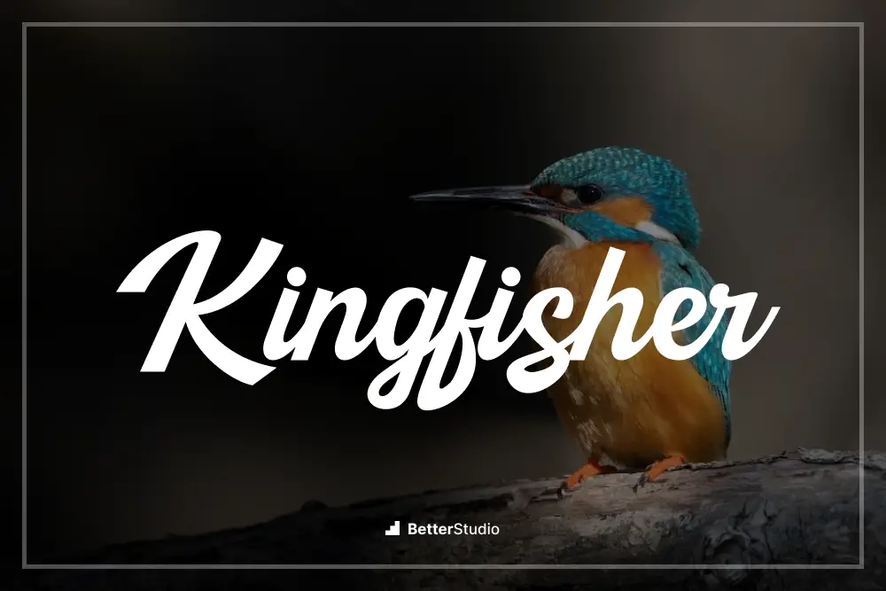 Kingfisher - 