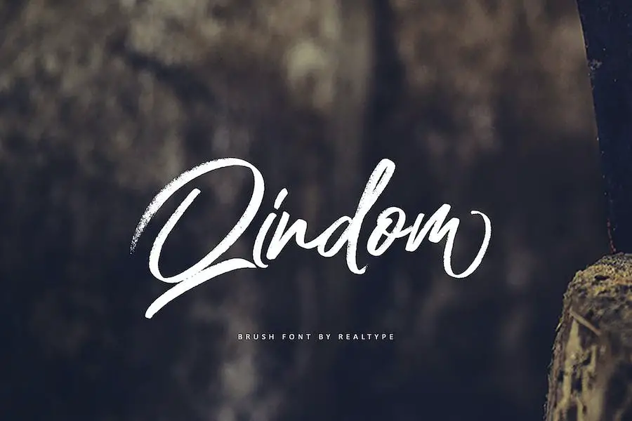Qindom - 