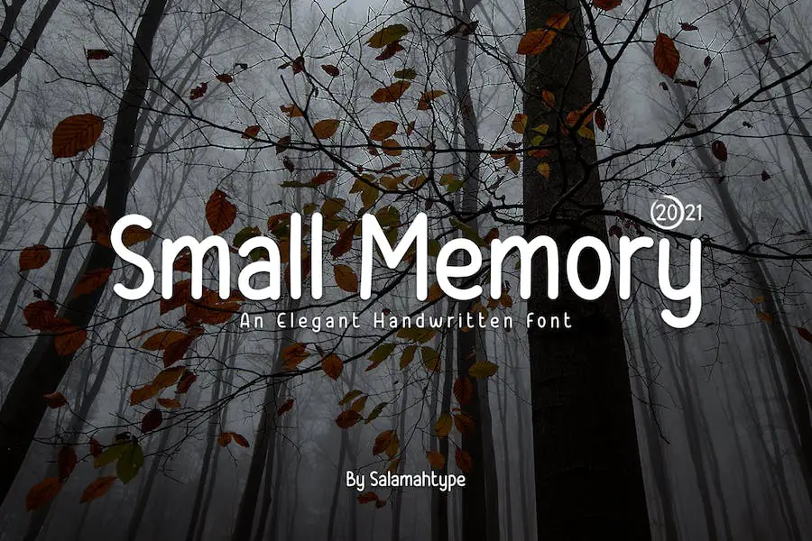 Small Memory - 