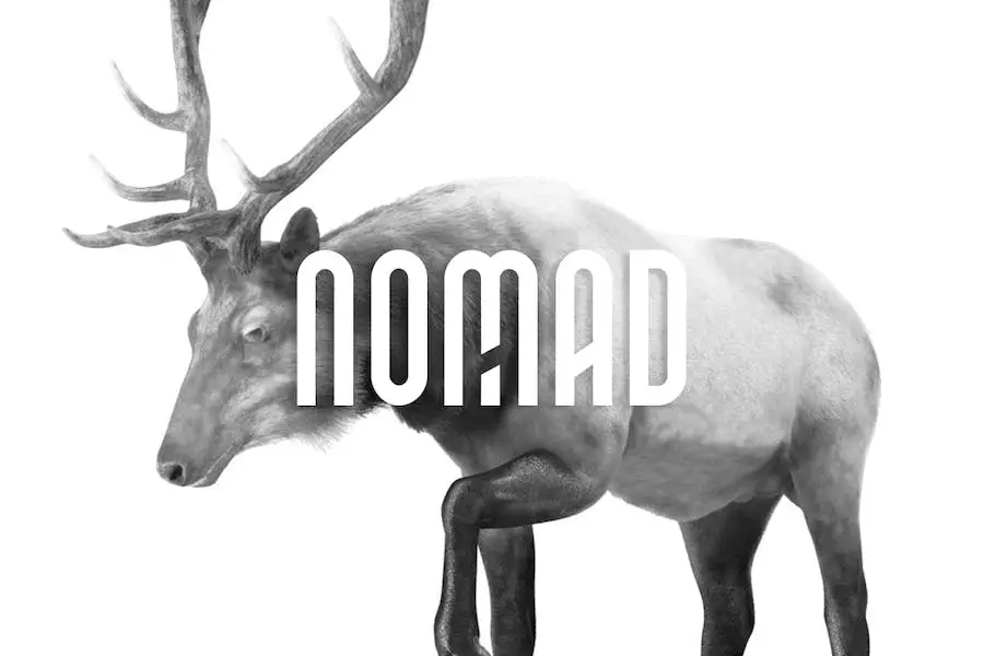 NOMAD - 
