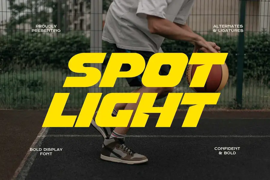 Spot Light - 
