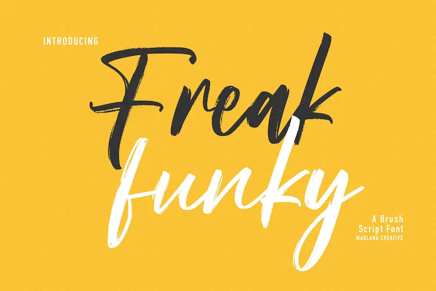 Freak Funky - 