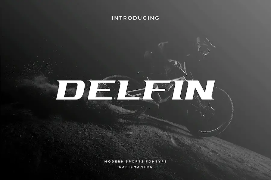 Delfin - 