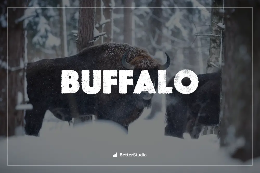 Buffalo - 