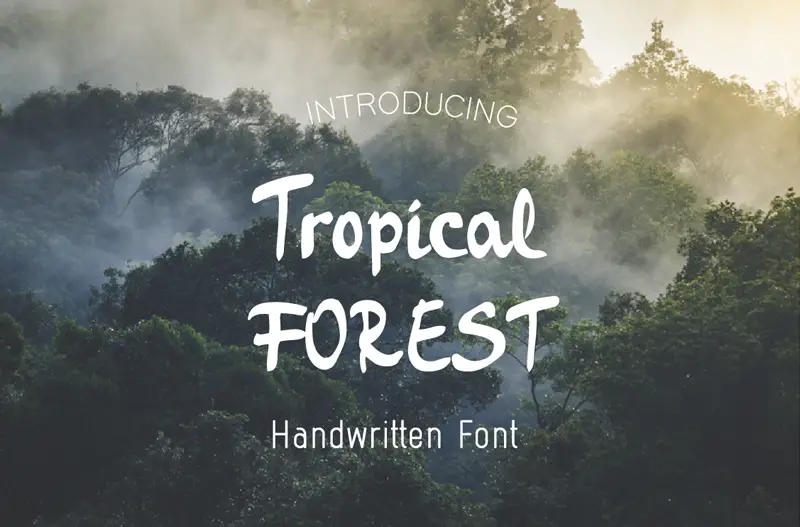 Tropical Forest - 