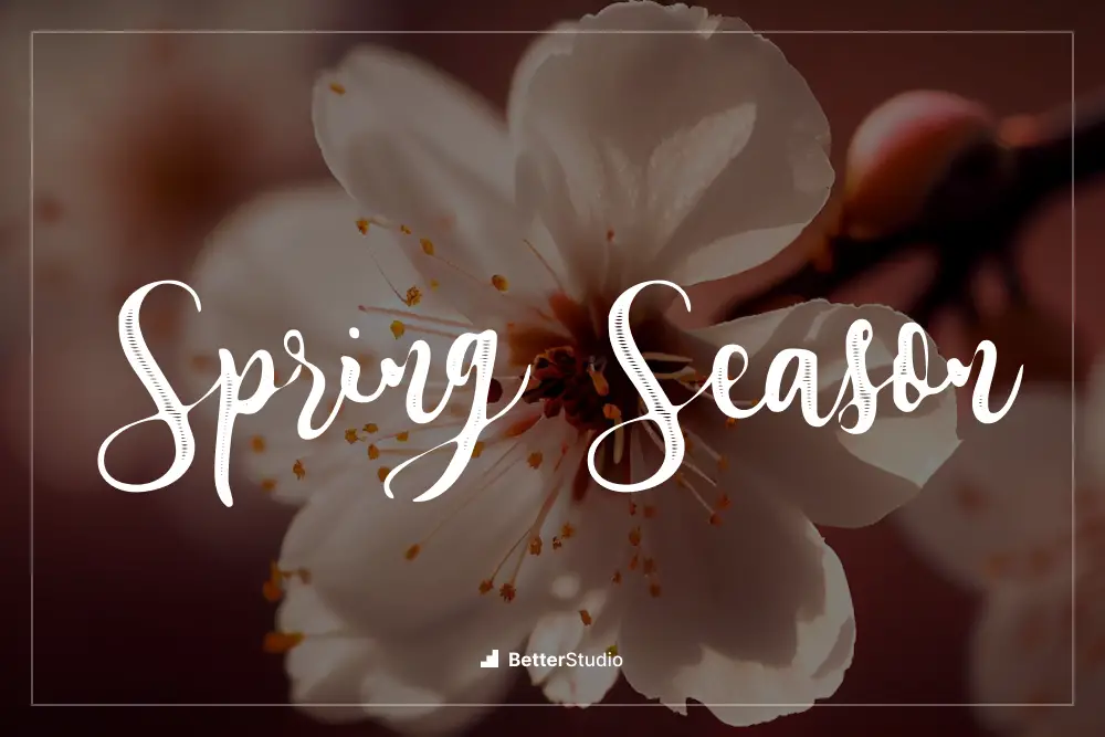 Spring Season - 