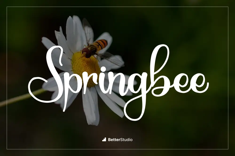 Springbee - 