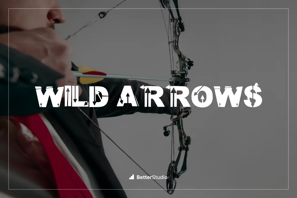 Wild Arrows - 