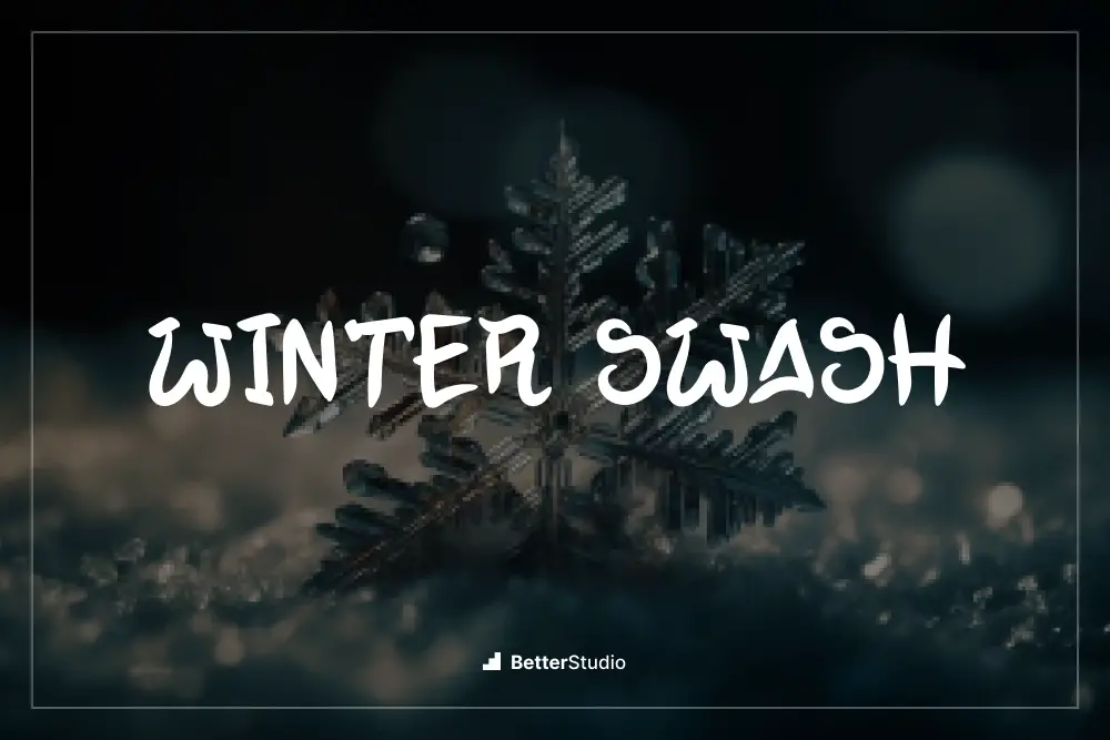 Winter Swash - 