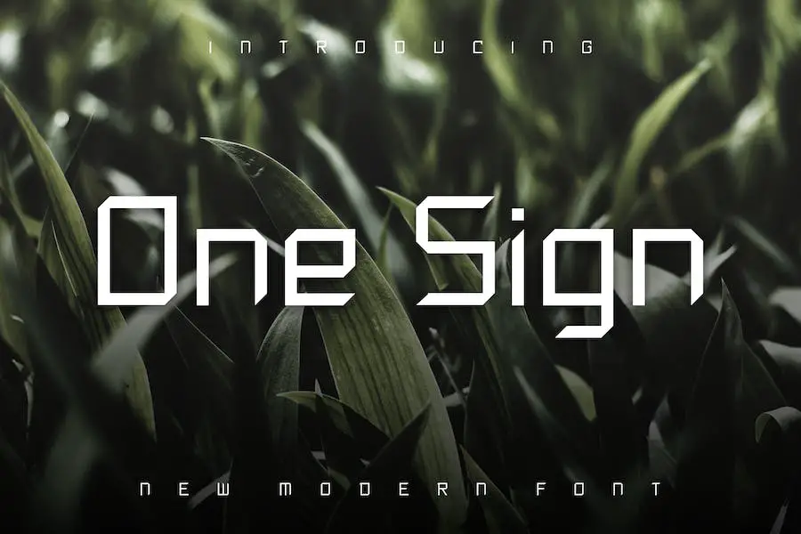 One Sign - 