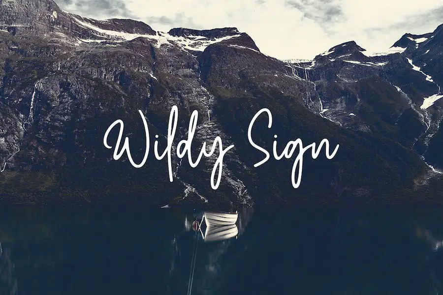 Wildy Sign - 