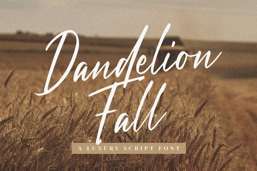 Dandelion Fall - 
