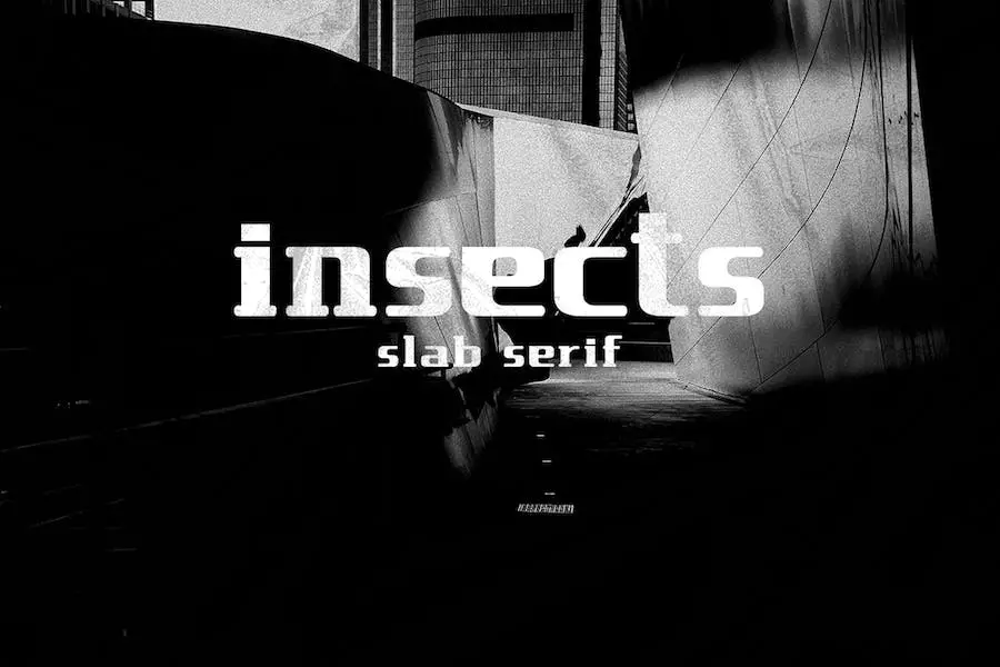 insect - 