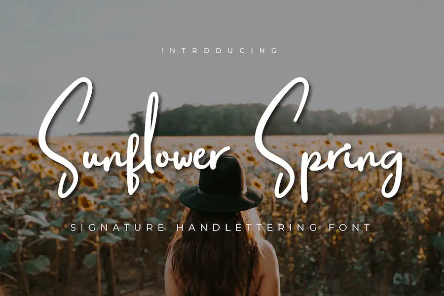 Sunflower Spring - 