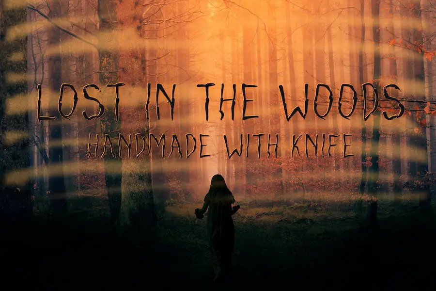 Lost in the woods - 