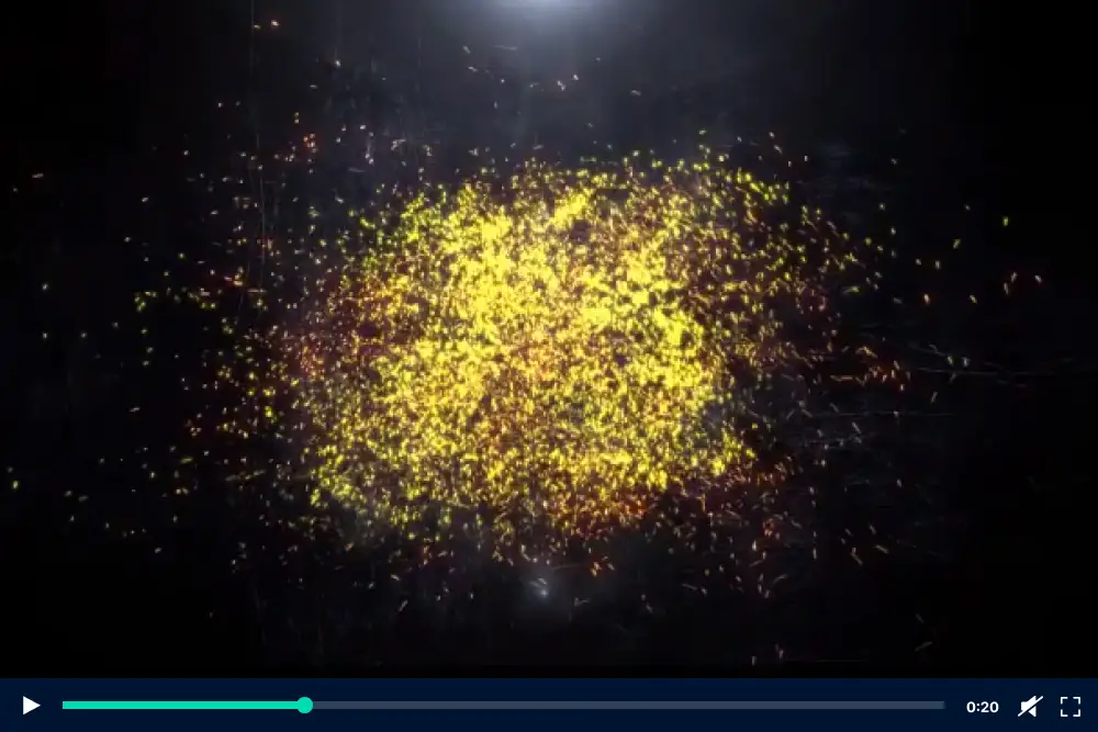 Particle Effect 6 - 