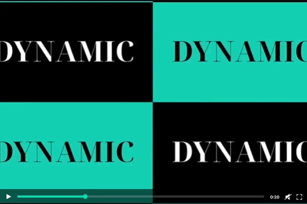 Dynamic Style - 