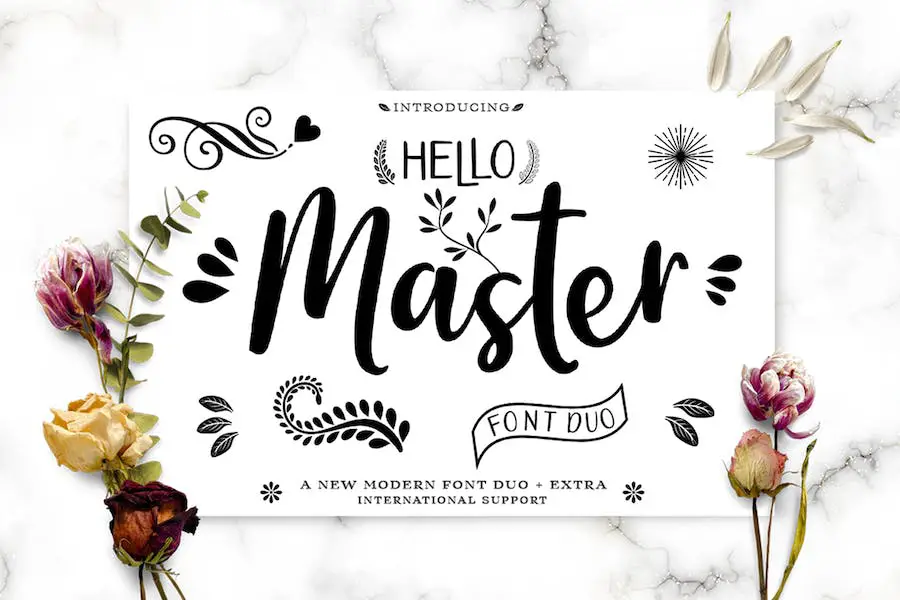 Hello Master - 